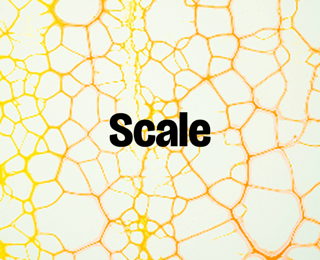 Hand-drawn illustration representing a product growing into a consistent, scalable system.